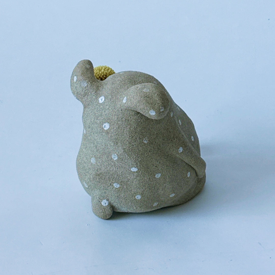 Dotted Gamja